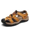 yellow-brown7239