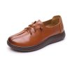 wb-289-brown